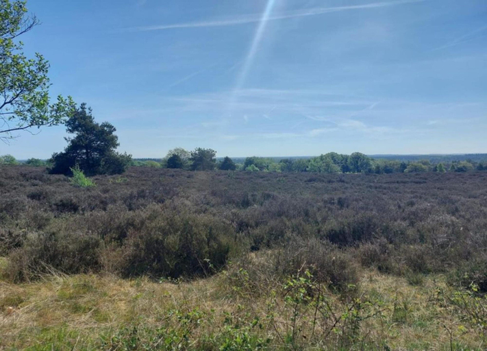 View from property 2, Holiday Home in Haarle Near Sallandse Heuvelrug, Hellendoorn