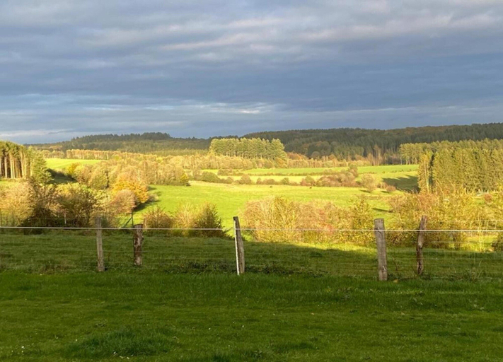 View from property 2, Quaint Holiday Home in Bievre in the Forest, Namur