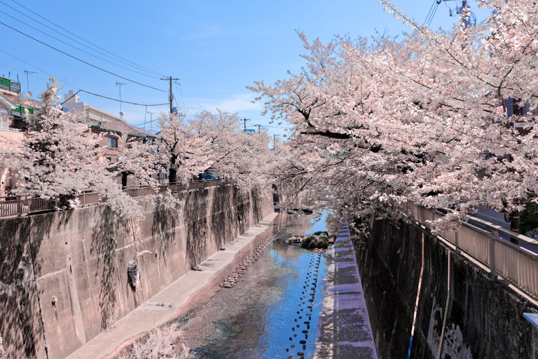 Others 5, Calm Riverside Inn Close to Ikebukuro, Itabashi
