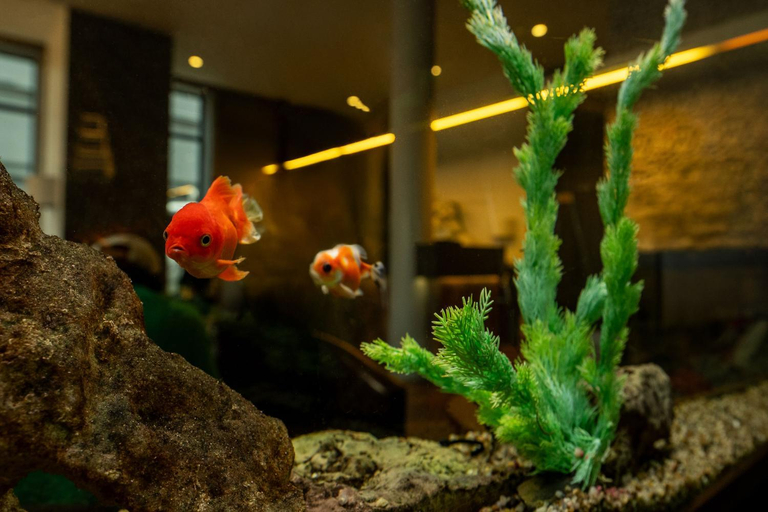 Public Area 4, Wellton Centrum Hotel & Spa, Riga