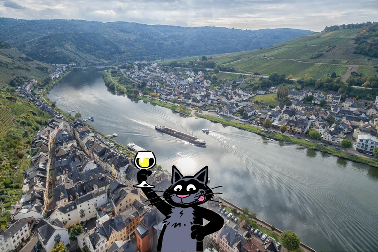 Exterior view 3, Feriendomizil am Moselufer, Cochem-Zell