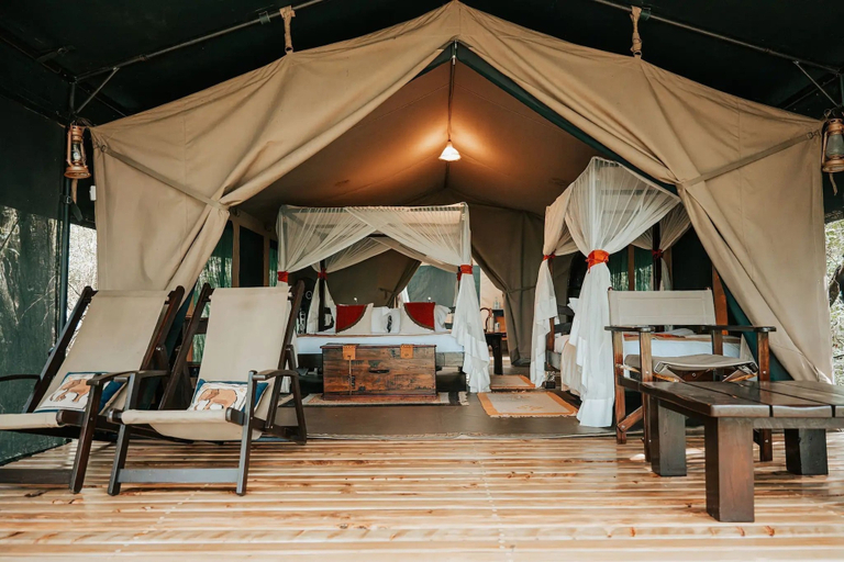 Room 5, Soroi Mara Bush Camp, Narok West
