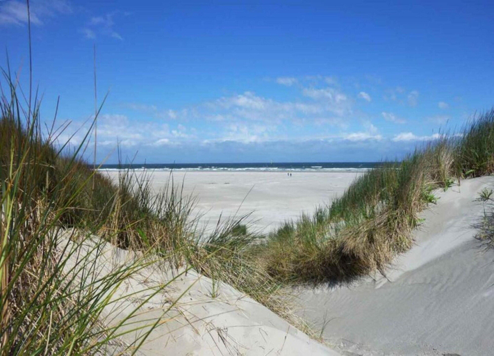 View from property 5, Beachside Escape w/ Terrace, Den Helder