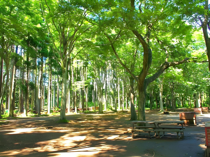 Others 5, Showa no Mori Forest Lodge, Chiba