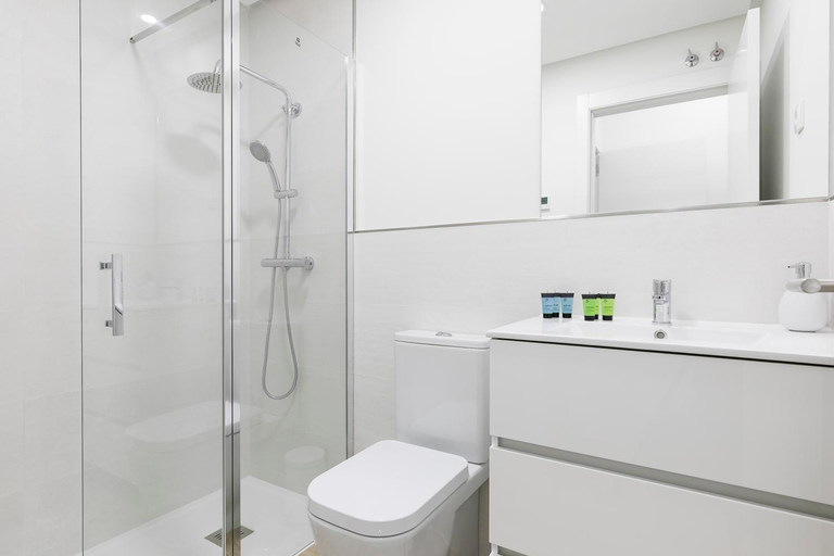 Bathroom 3, Feelathome Goya Apartments, Madrid
