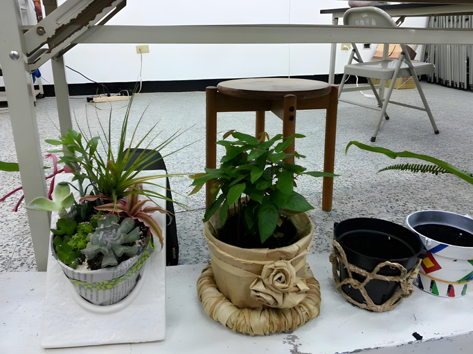 Others 5, Tomato Coffee Guest House, Taitung