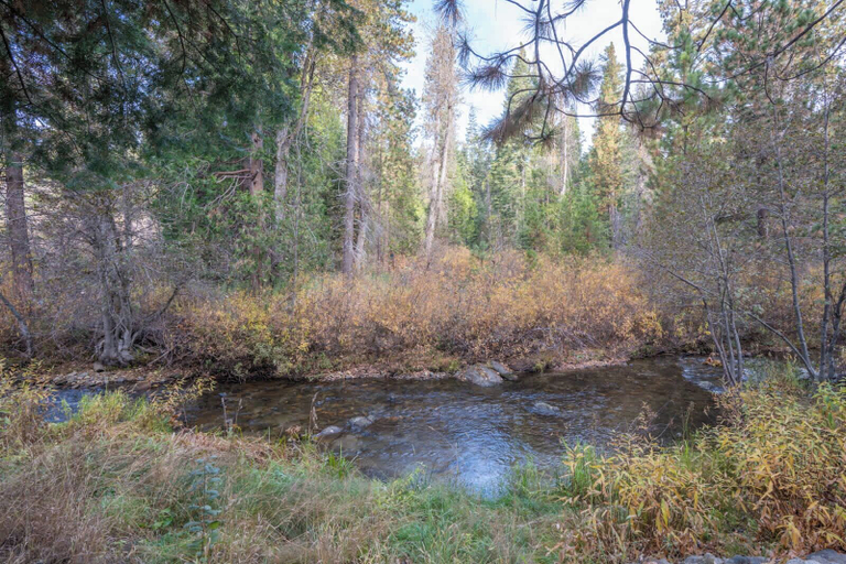 Others 5, Yosemite Heights on Big Creek, Mariposa