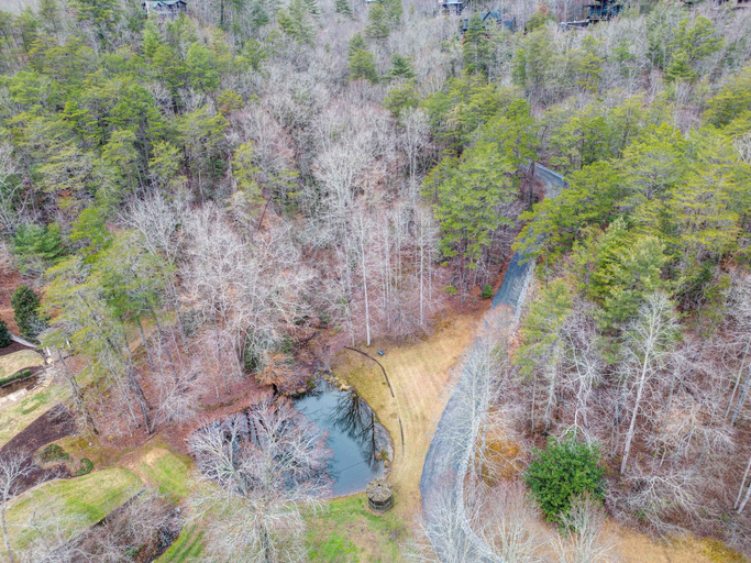 Others 5, Bear Track Falls Peaceful, Quiet Mtn. Retreat!, Fannin