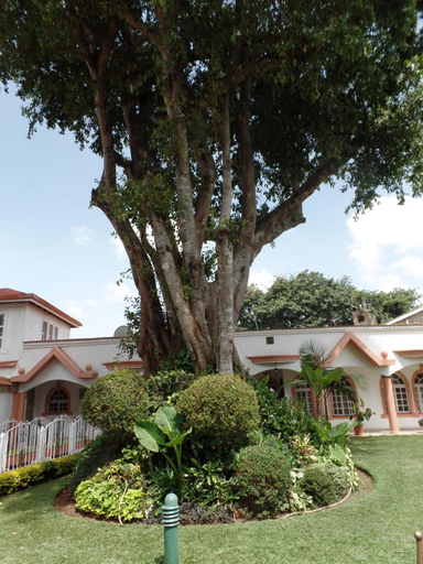 Others 4, Villa Leone Boutique Hotel, Westlands