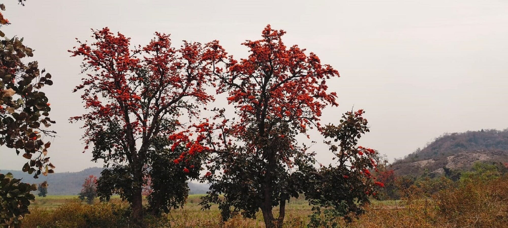 Others 2, Nature4 Resort, Puruliya