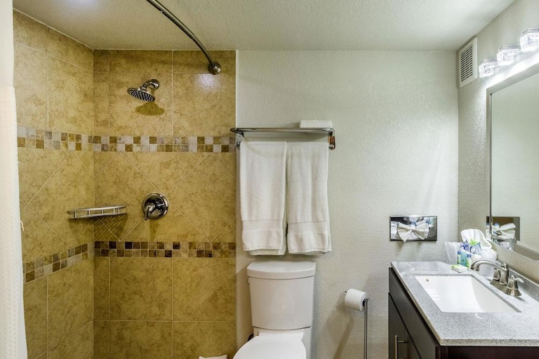 Bathroom 3, Mision Express McAllen, Hidalgo
