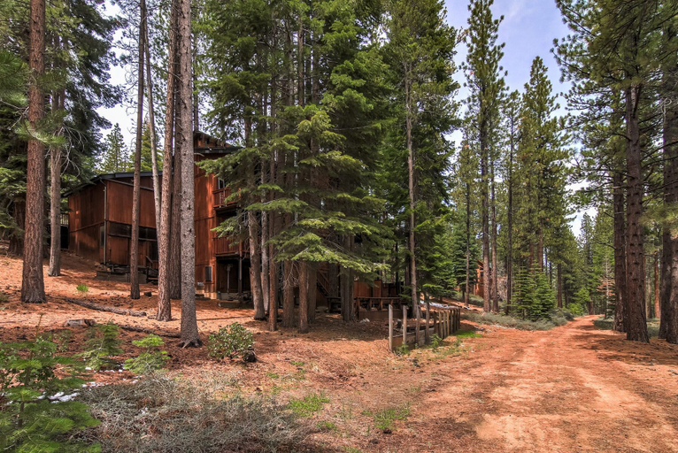 Exterior 2, Bear Haus - Fur Babies Welcome!, El Dorado