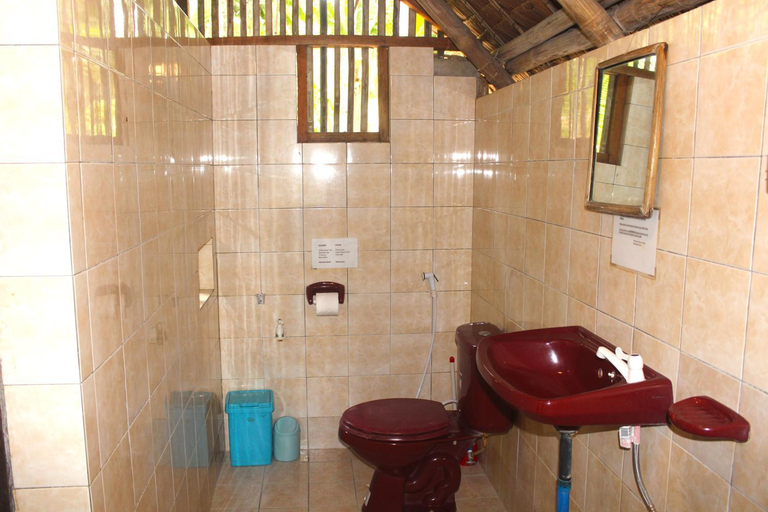 Bathroom 3, Driftwood Village Resort, Sipalay City