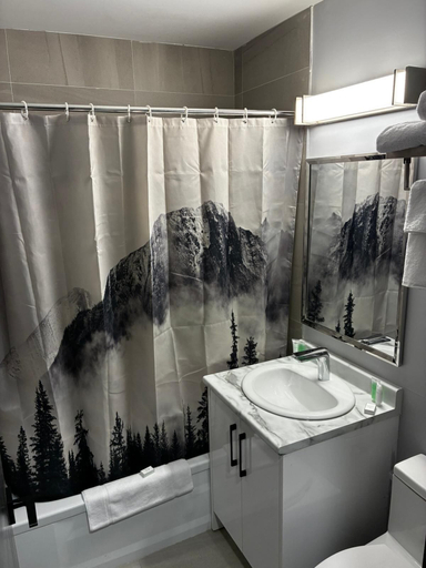 Bathroom 3, Nights Inn, Cariboo