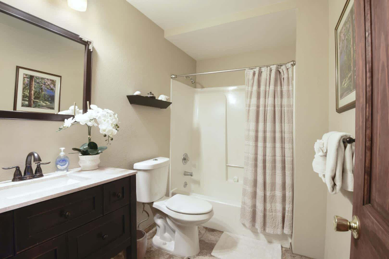 Bathroom 4, Shoreline Vista | 180° Lake Views | Pet-Friendly | 2 Master Suites, Placer