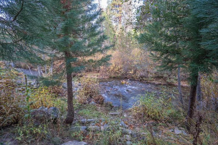 Others 4, Yosemite Heights on Big Creek, Mariposa