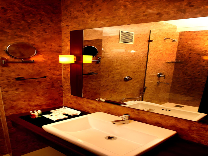 Bathroom 4, Sunflower Hotel, Mysore
