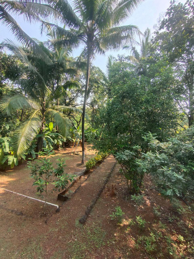 Others 5, A Latent Farm Stay, Ratnagiri