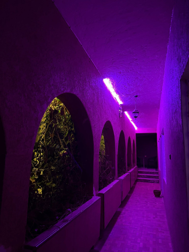 Exterior & Views, Tiznit Hotel, Tiznit