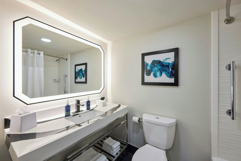 Bathroom 4, Four Points by Sheraton Englewood, Arapahoe