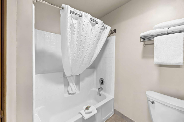 Bathroom 4, Best Western Inn at the Rogue, Jackson