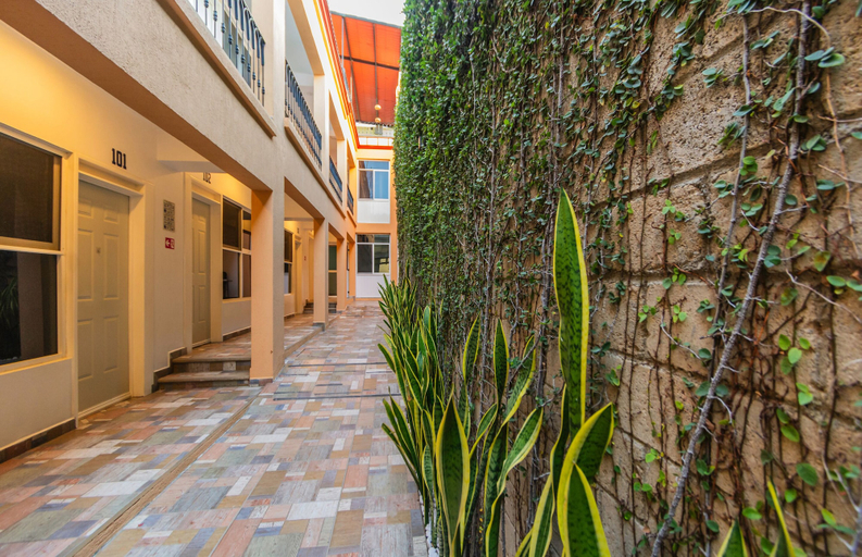 Exterior & Views 2, Casa Mayahuel, Del Centro