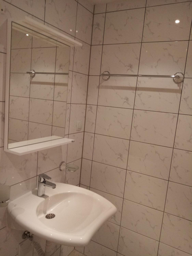 Bathroom 3, Weißer Schwan Белият лебед, Dolni Chiflik