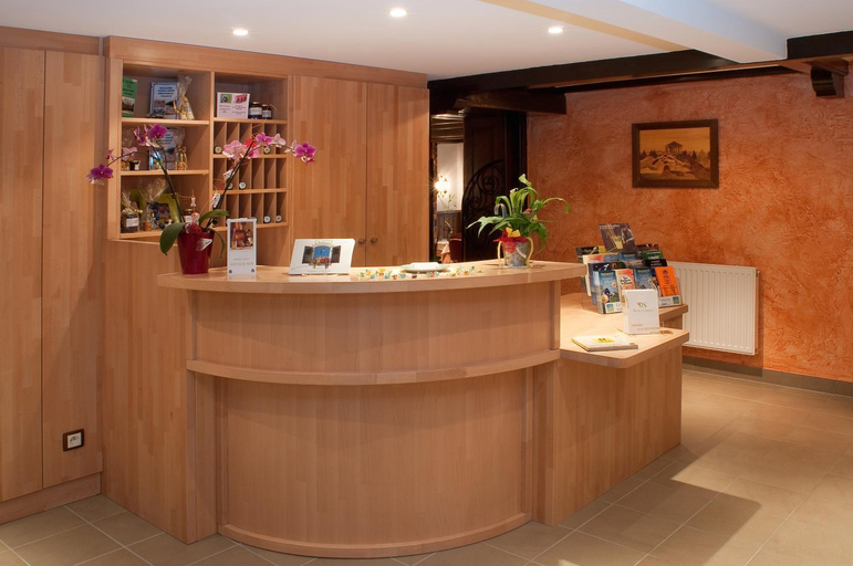 Public Area, Logis Hotel Restaurant Neuhauser, Bas-Rhin