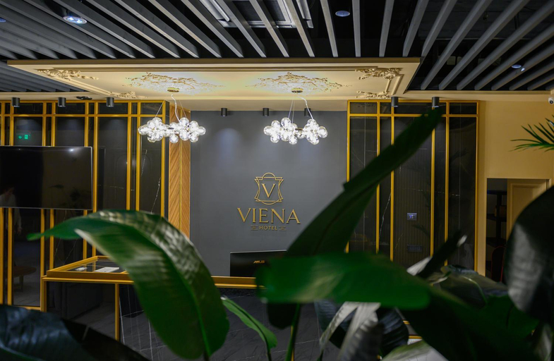 Public Area 2, HOTEL VIENA, Satu Mare