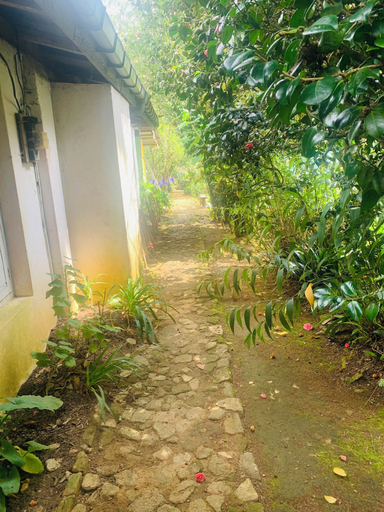 Others 3, Pedro Stay, Nuwara Eliya