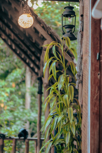 Others 5, Hostal Tree House, Ella