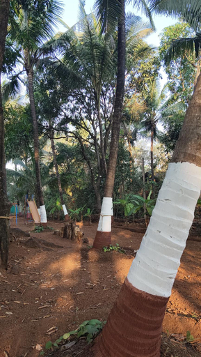 Others 3, A Latent Farm Stay, Ratnagiri