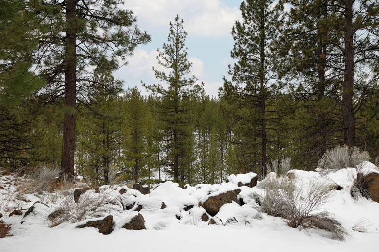 Others 4, Cozy Cascade Retreat - For 4!, Deschutes