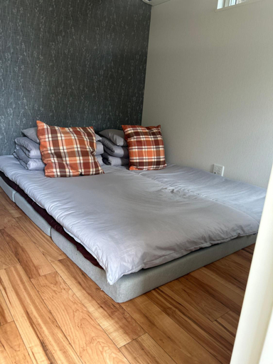 Bedroom 2, ハーモニー地下鉄幌平橋駅徒歩6分市電行啓通駅2分, Sapporo