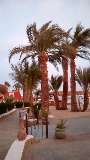 Others 3, Sun Beach Hotel Safaga, Safaja