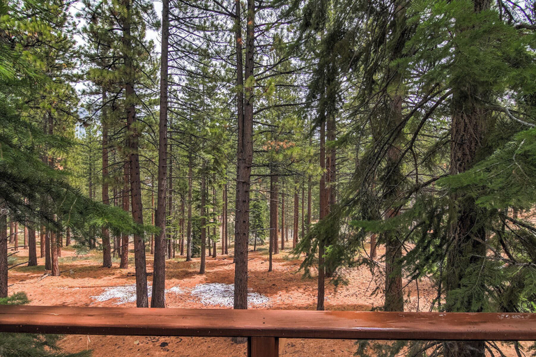 View from property, Bear Haus - Fur Babies Welcome!, El Dorado