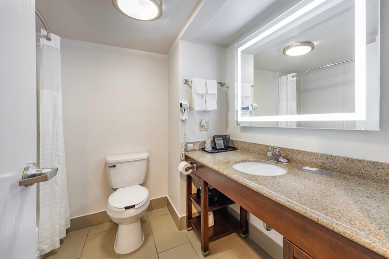 Bathroom 4, Comfort Inn & Suites Cookeville, Putnam