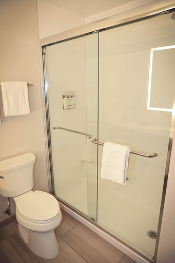 Bathroom 5, Holiday Inn Express & Suites DOUGLAS by IHG, Converse