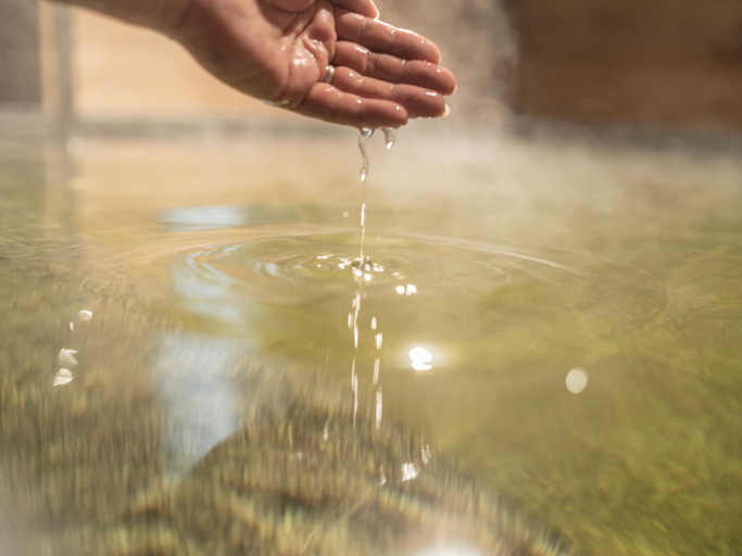 Sport & Beauty 5, Super Hotel Premier Namba Shinsaibashi Natural Hot Spring, Osaka