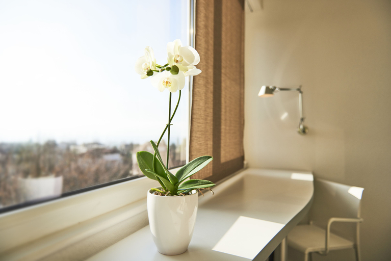 Bathroom 3, Le Léman Hôtel, Pays-d'Enhaut