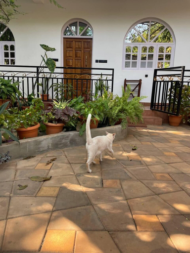 Others 5, Whispering Palms Anjuna, North Goa