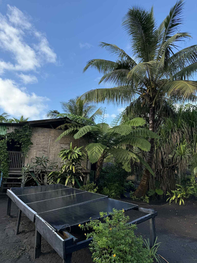 Others 4, Jungle Oasis, Whitesands
