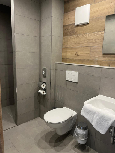 Bathroom 4, Hotel Chiemseepanorama, Rosenheim