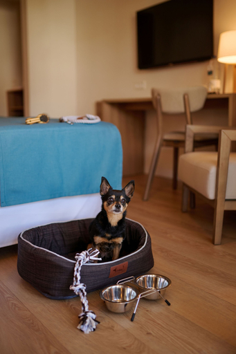 Bedroom 3, AluaSoul Menorca Hotel - Adults Only, Baleares