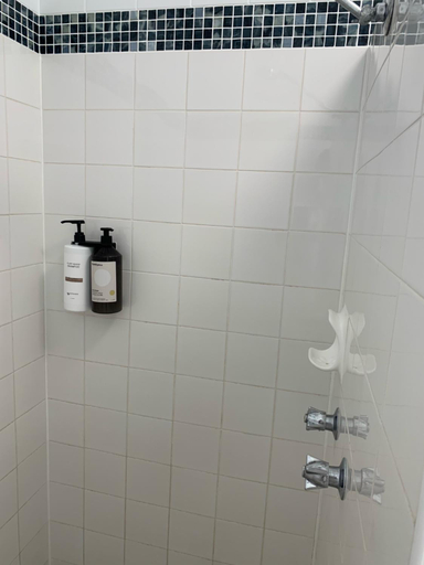 Bathroom 3, Shady Rest Motel, Cooloola - Gympie only