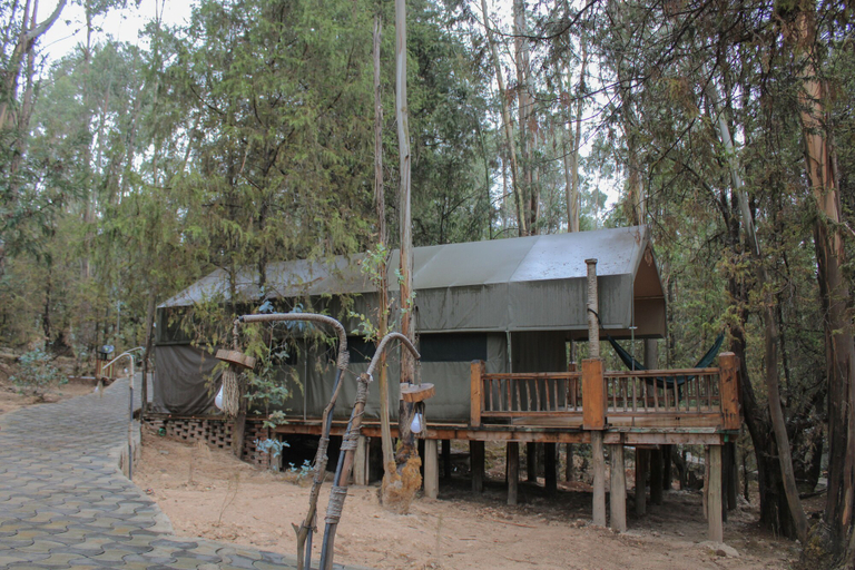 Others 5, Kuriftu Entoto Adventure Park, Addis Abeba