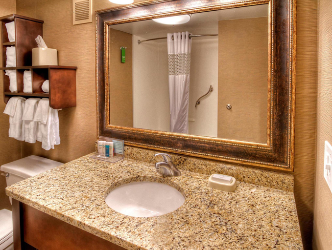 Bathroom 4, Hampton Inn Jonesville/Elkin, Yadkin