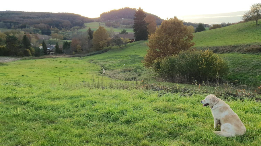 Others 5, s'YVOUX plait, Vosges
