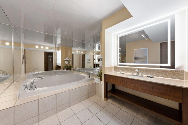 Bathroom 4, Wyndham Riverfront Little Rock, Pulaski