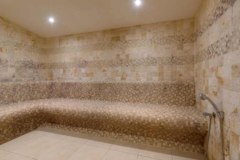Bathroom 5, Lion Hotel Borovets, Samokov
